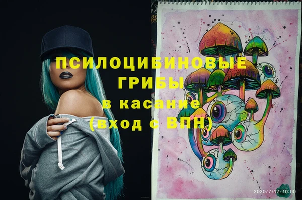 стаф Костерёво