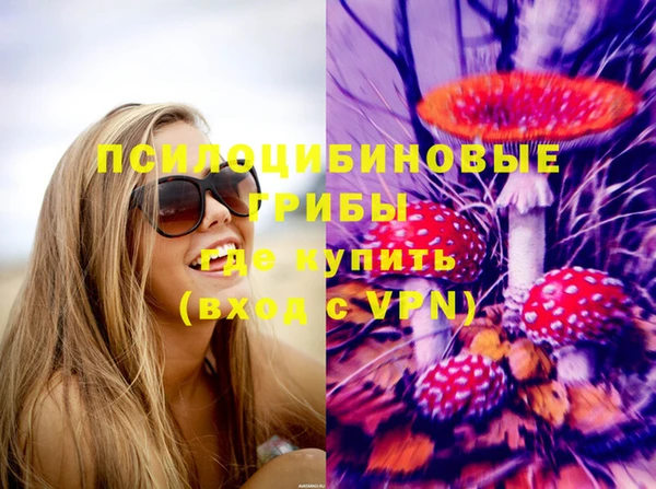 стаф Костерёво