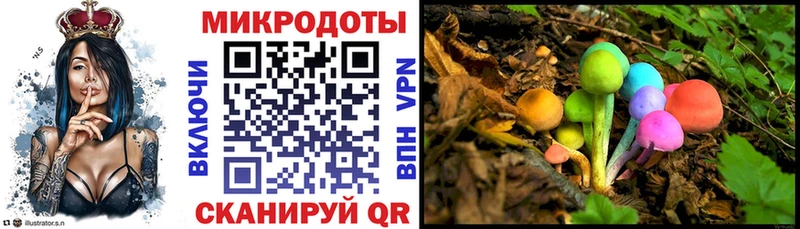 Псилоцибиновые грибы мицелий Купить закладки Саров